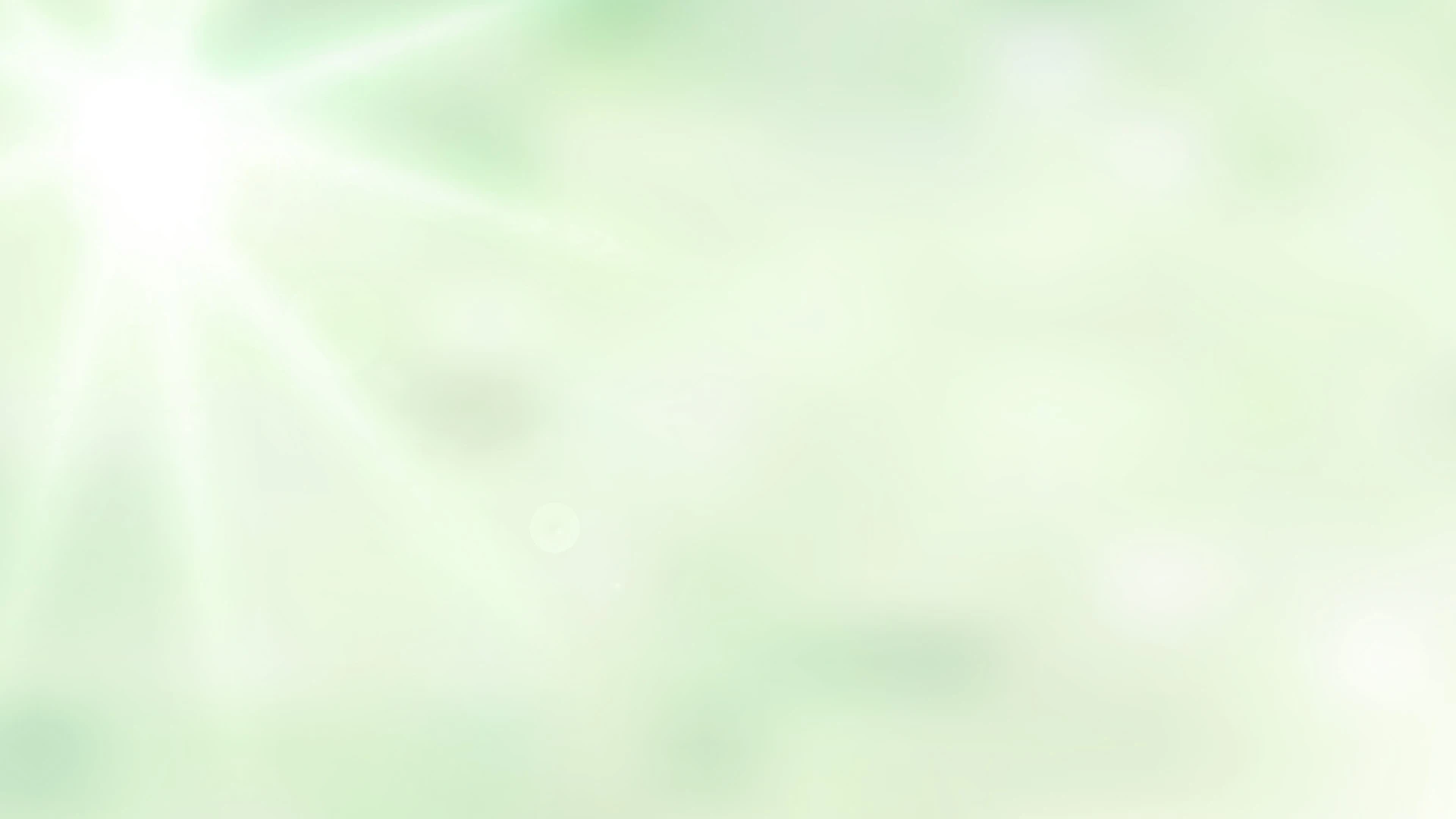 bg4.jpg